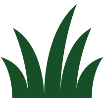 Green grass silhouette on black background.