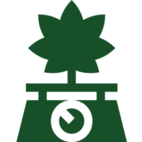 Green plant on a digital scale icon.