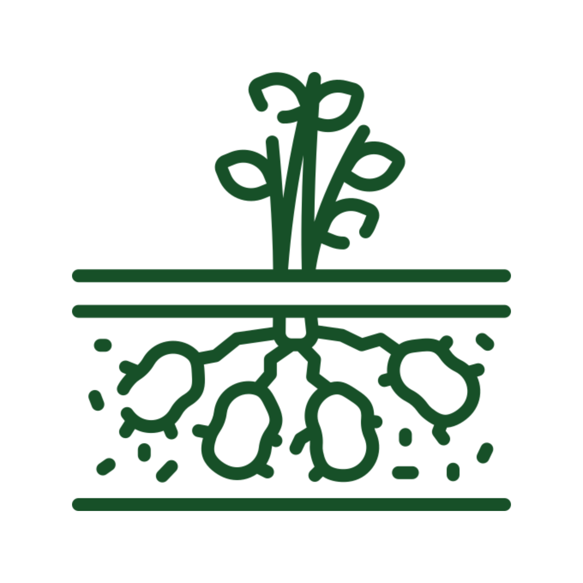 Plant growing with roots underground illustration.