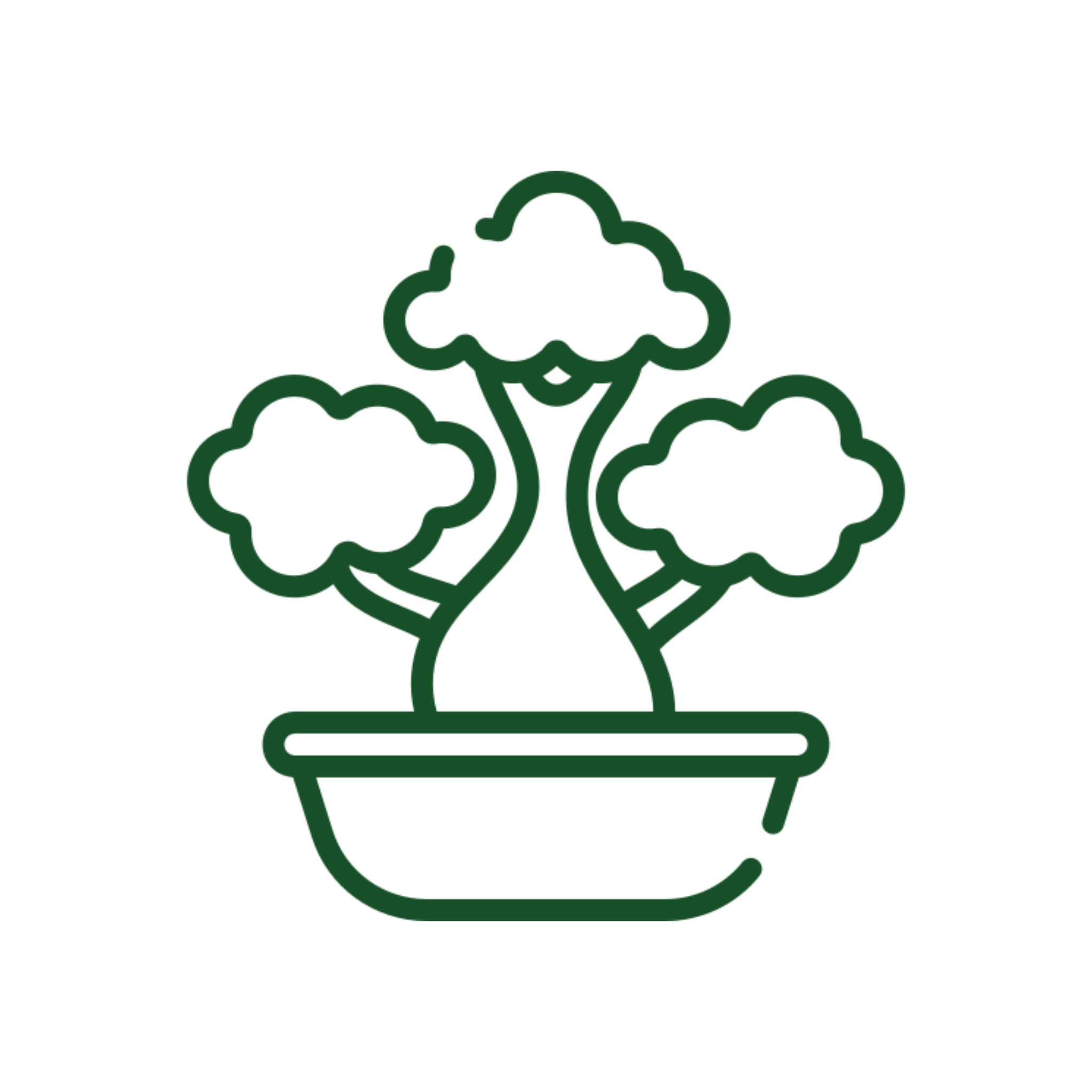 Green bonsai icon on black background.