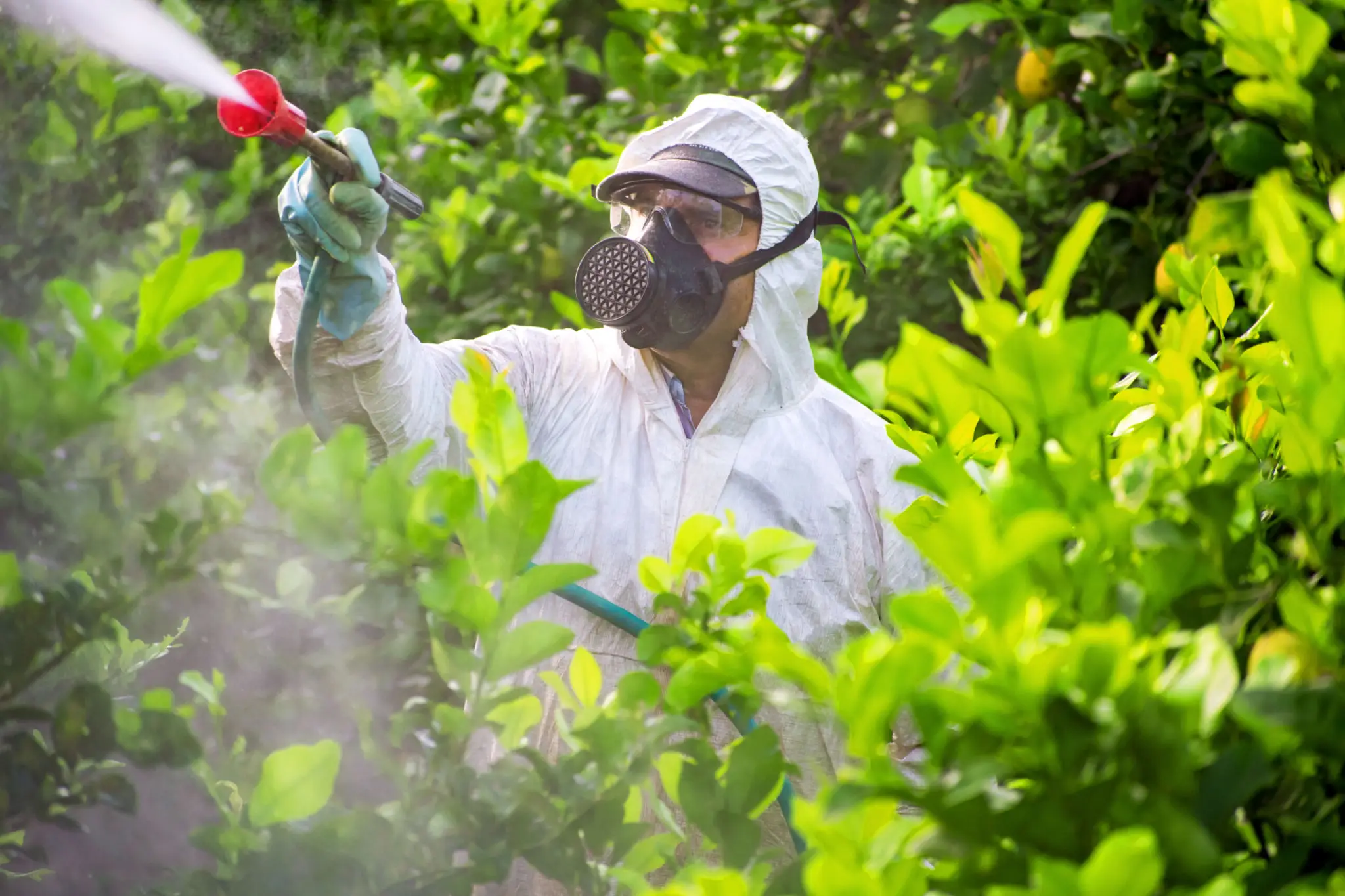 Spraying to Mitigate Harmful Insects